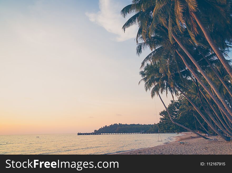 Beautiful tropical coconut palm tree on sky with sea and beach - Vintage Filter