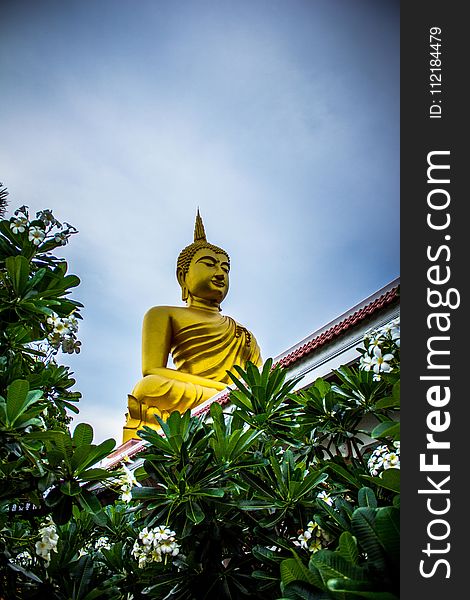 Gautama Buddha Statue Near Green Leaves