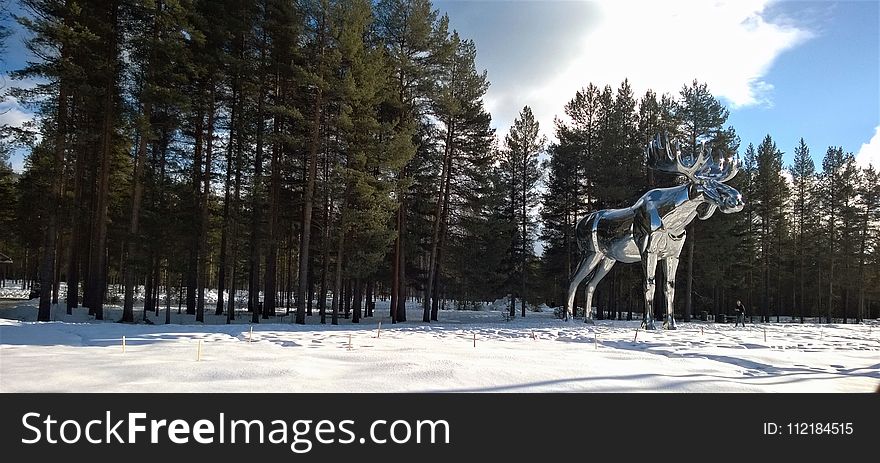 Silver Moose Statue Near Tree