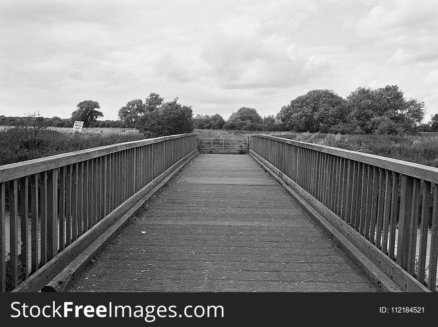 Grayscale Image Of Bridge