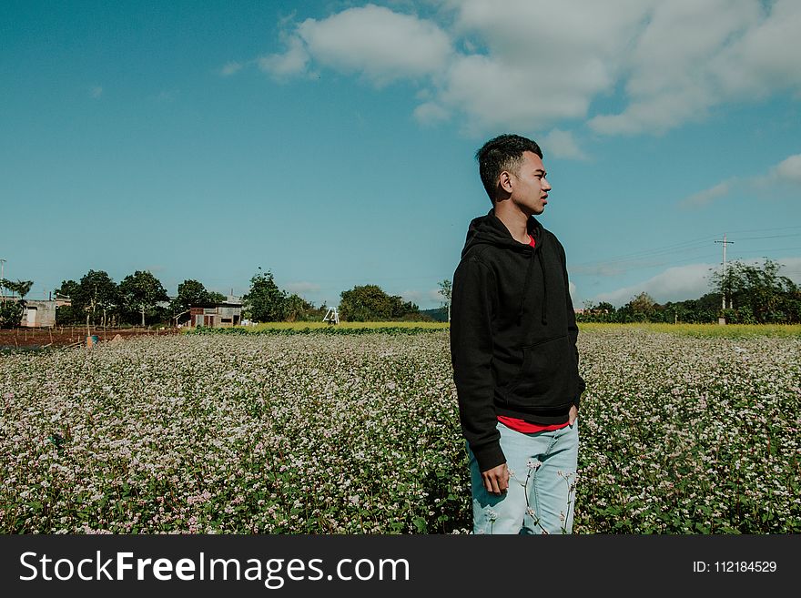 Man Wearing Pullover Hoodie Standing on Flower Field