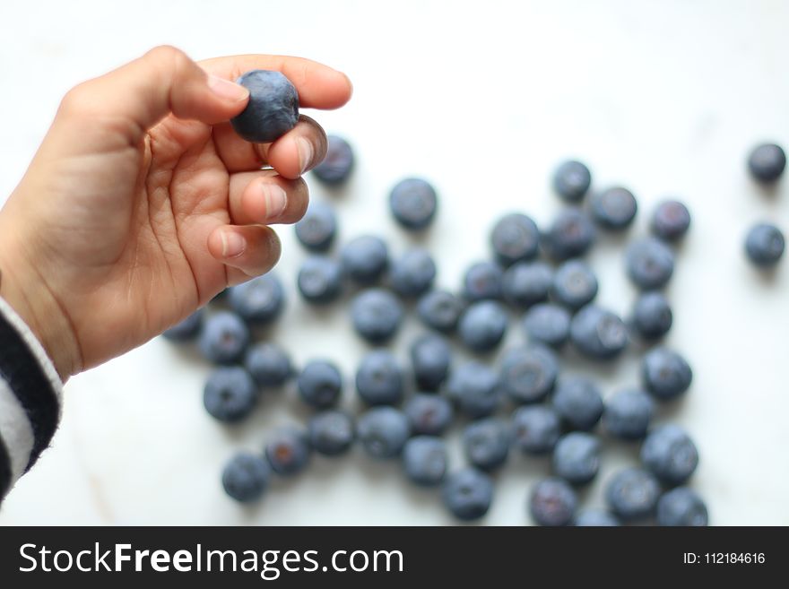 Person Holding Blueberry