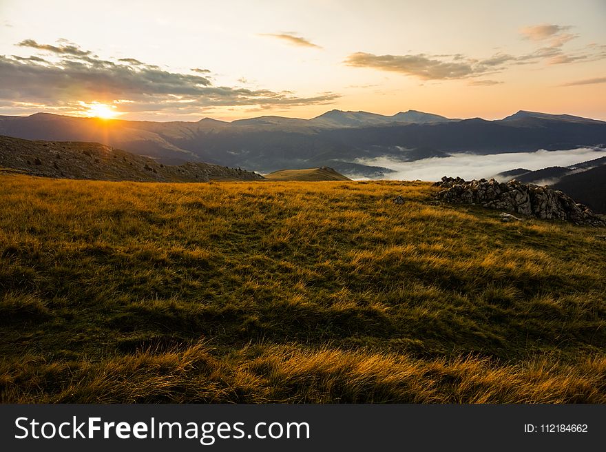 Brown Grass Field during Golden Hour