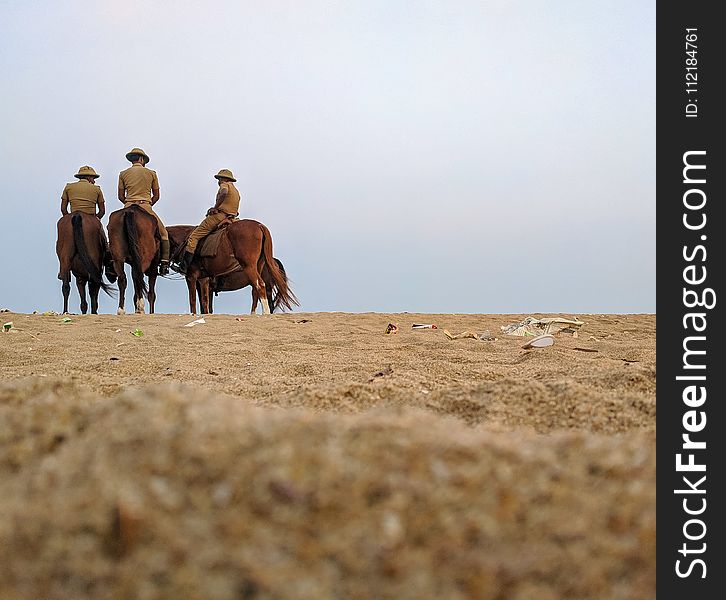 Group Of Horsemen On Desert