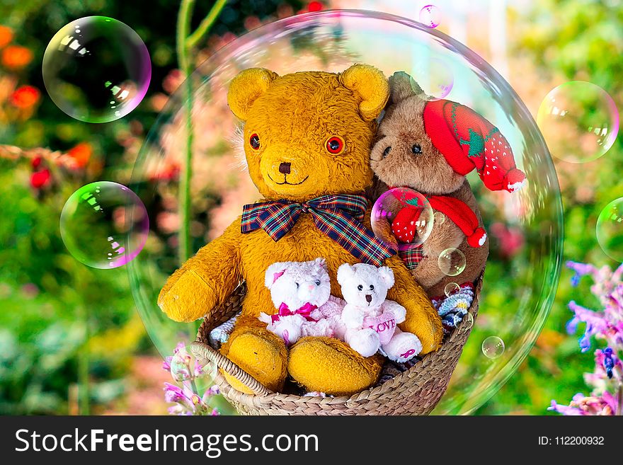 Teddy Bear, Stuffed Toy, Toy, Flower