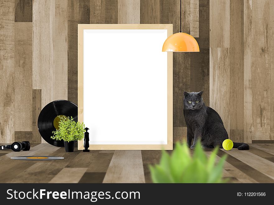 Yellow, Cat, Small To Medium Sized Cats, Interior Design