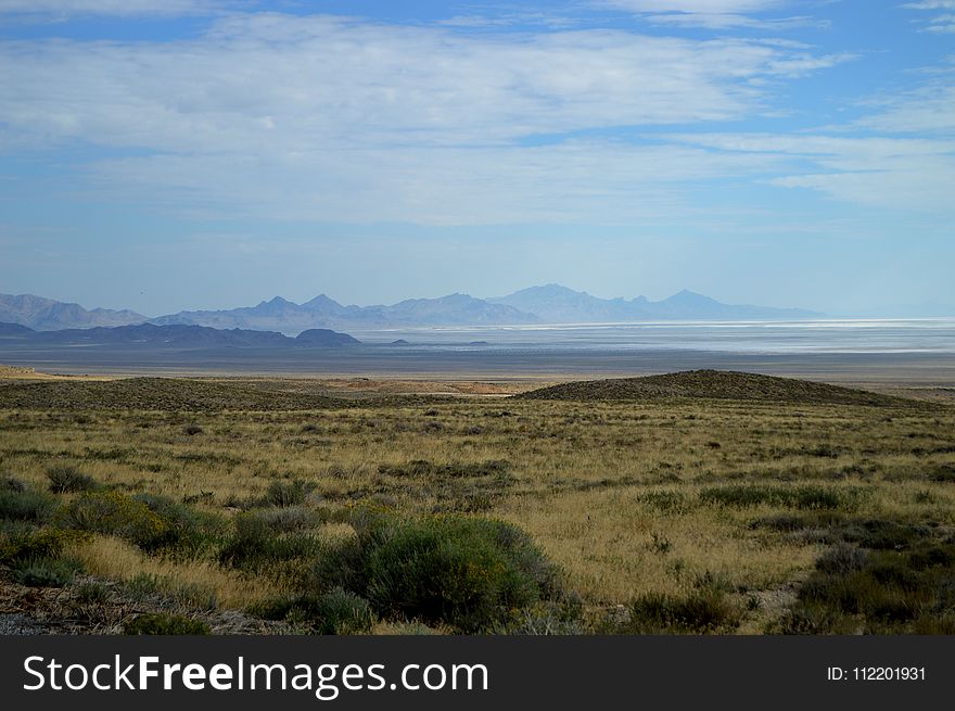 Ecosystem, Grassland, Plain, Sky