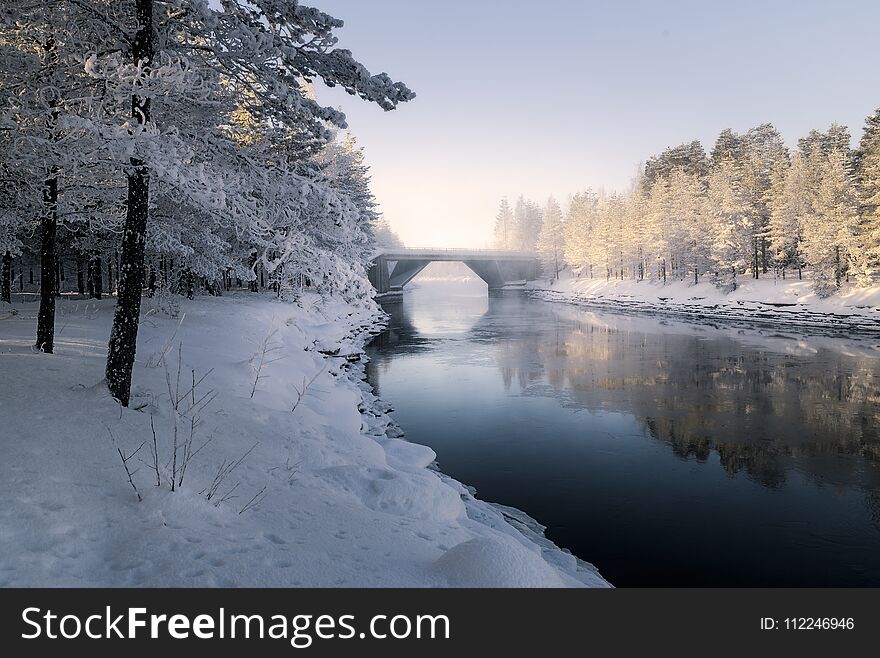 Snowy trees. Sunset view.Dark and cold water. Snowy trees. Sunset view.Dark and cold water.