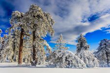 Troodos Is The Largest Mountain Range In Cyprus Stock Photo