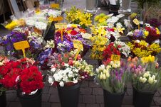 Flowers Shop Concept Outdoors With Variety Royalty Free Stock Images