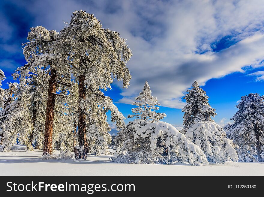 Troodos Is The Largest Mountain Range In Cyprus