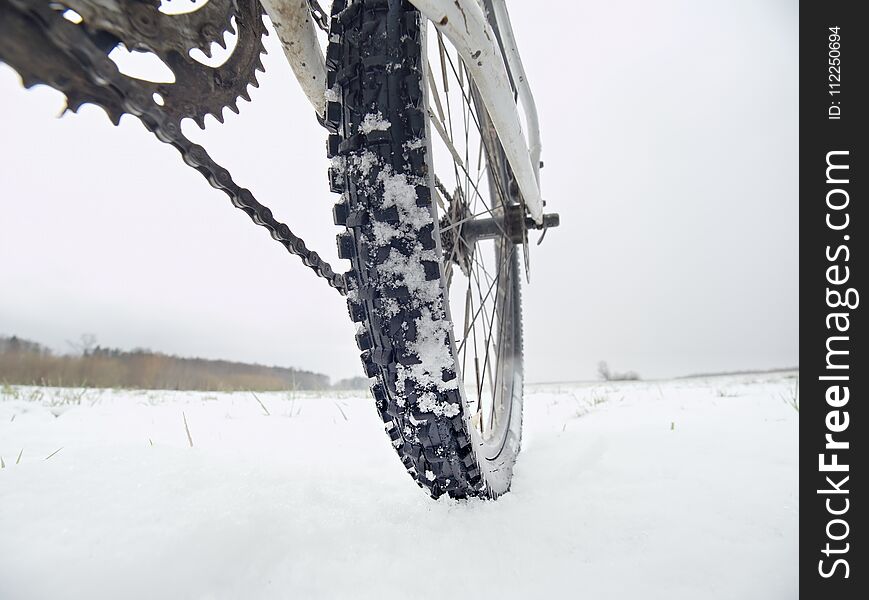 Low Ankle Photo Of Rear Hweel Of Mtb In Snowdrift. Picture Taken Within Winter Bike Trip