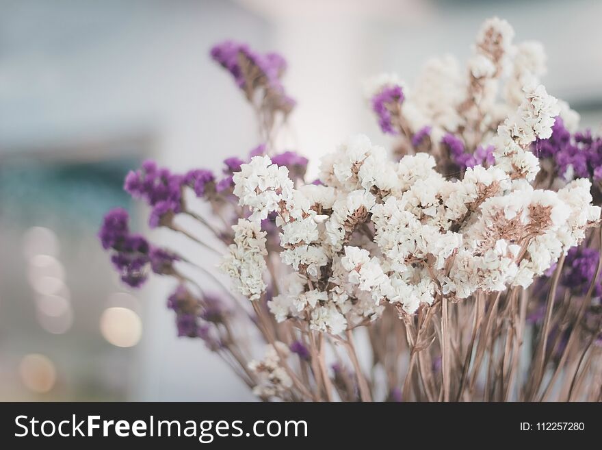 Dry Flowers Select Focus Blur Background,Colorful Dry Flowers Blur Background.