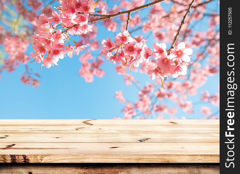 Pink Cherry Blossom Flower Sakura On Sky Background In Spring Season.