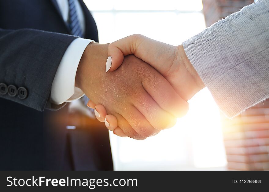 Excited Smiling Businessman Handshaking Partner At Meeting,