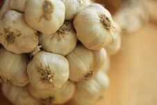 Bundle Of Dried Garlic. Royalty Free Stock Image