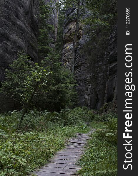 The narrow path among high rocks Adrspach Rock City during summer