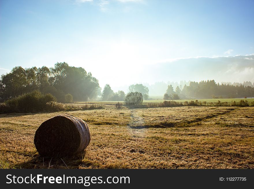 Field, Hay, Morning, Sky