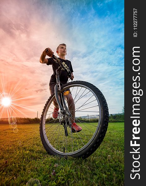 Bicycle, Cycle Sport, Land Vehicle, Road Bicycle