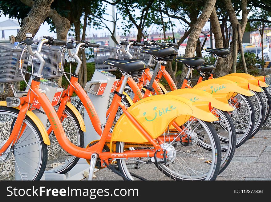 Land Vehicle, Bicycle, Road Bicycle, Yellow
