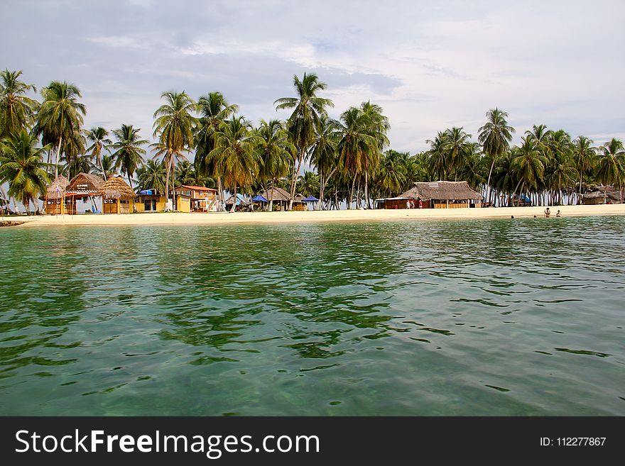 Water, Body Of Water, Sea, Beach