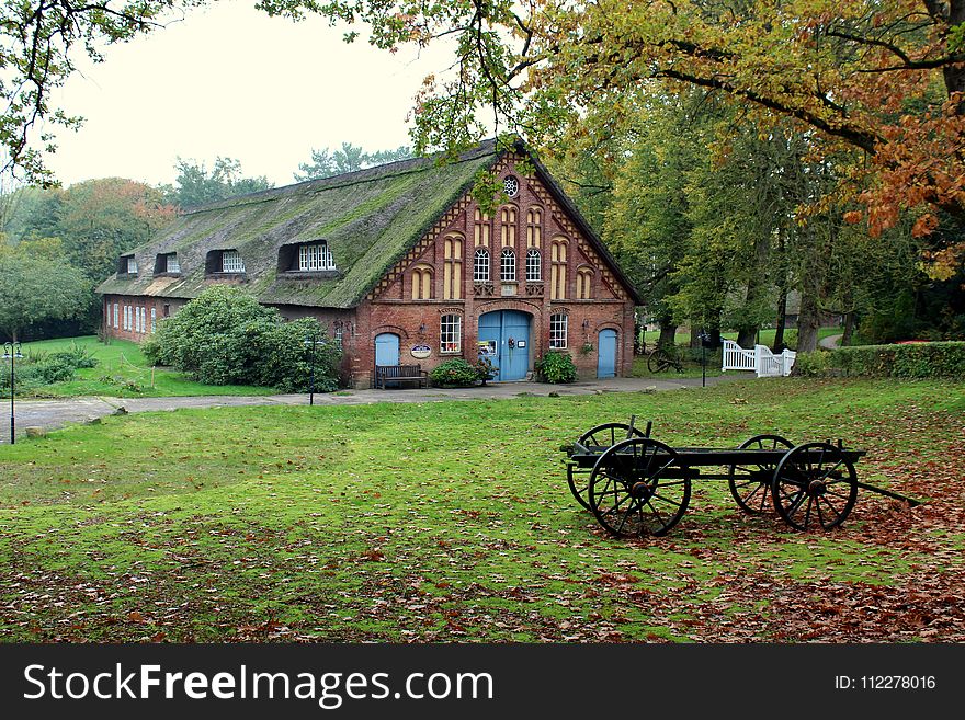 Nature, Home, House, Leaf