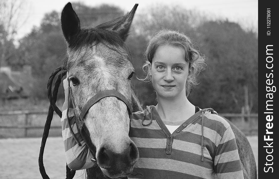 Horse, Black And White, Bridle, Mammal