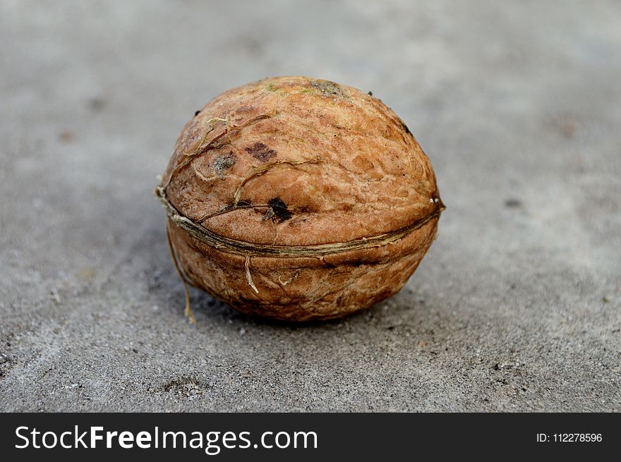 Tree Nuts, Walnut, Nut, Nuts & Seeds
