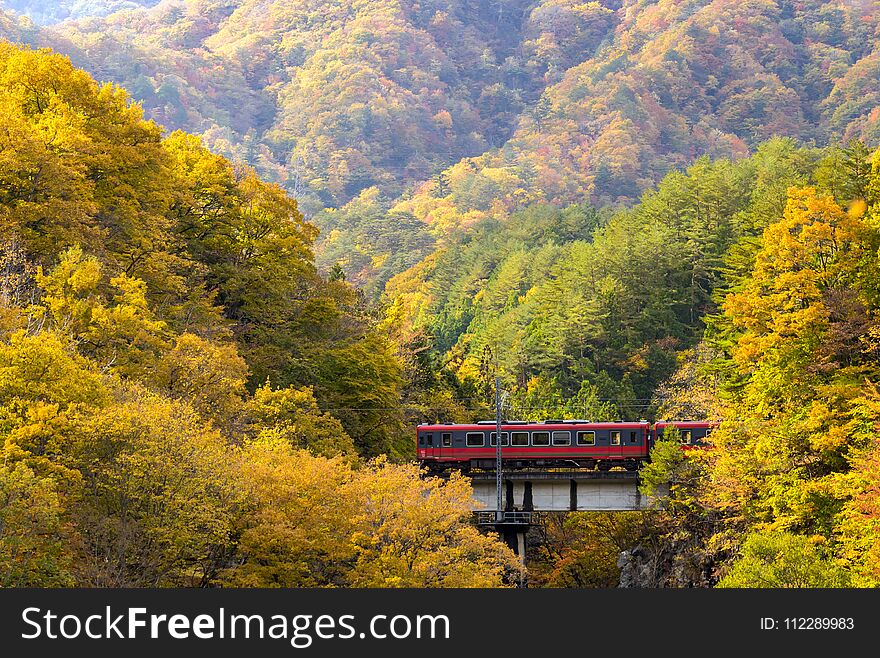 Red Train Commuter Fukushima Japan