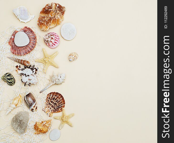 Sea Shells Frame On Neutral Ivory Backgroundwith Copy Space For Text. Nautical And Marinne Concept. Square Image.