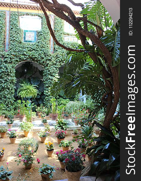 Traditional andalusian patio of Sevilla in Andalusia, Spain