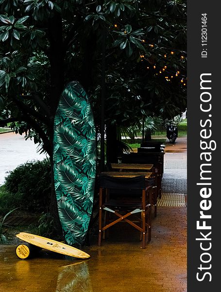 Green, White, and Black Leaf Print Surfboard Near Tree