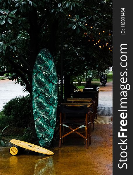 Green, White, And Black Leaf Print Surfboard Near Tree