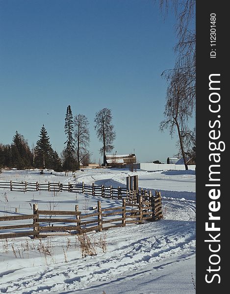 Brown Wooden Fence during Winter