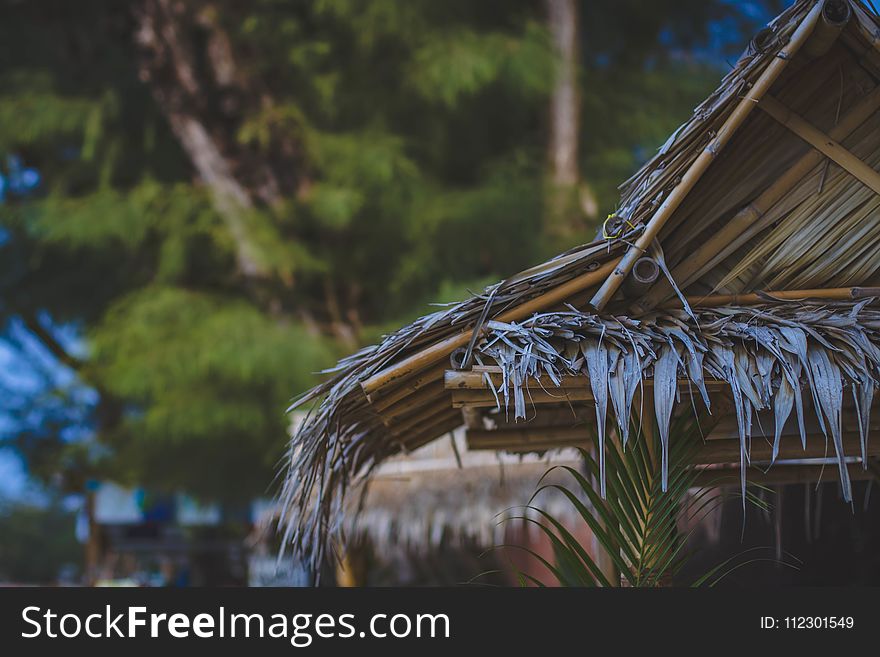 Selective Focus Photo Of Brown Nipa Hut