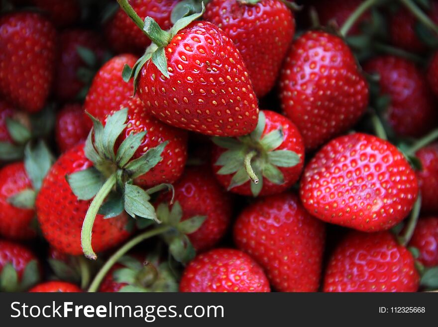 Background freshly harvested strawberries