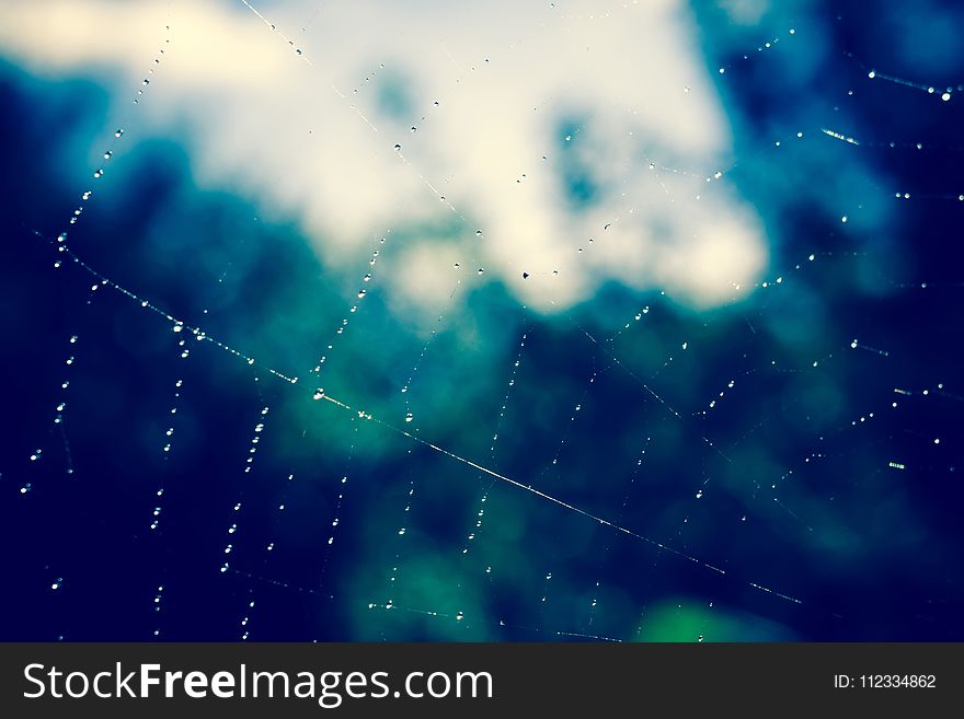 Drops of water on spider web natural filtered background. Drops of water on spider web natural filtered background.