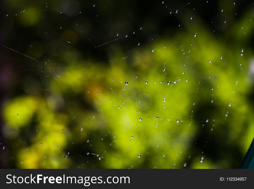 Drops of water on spider web natural background. Drops of water on spider web natural background.