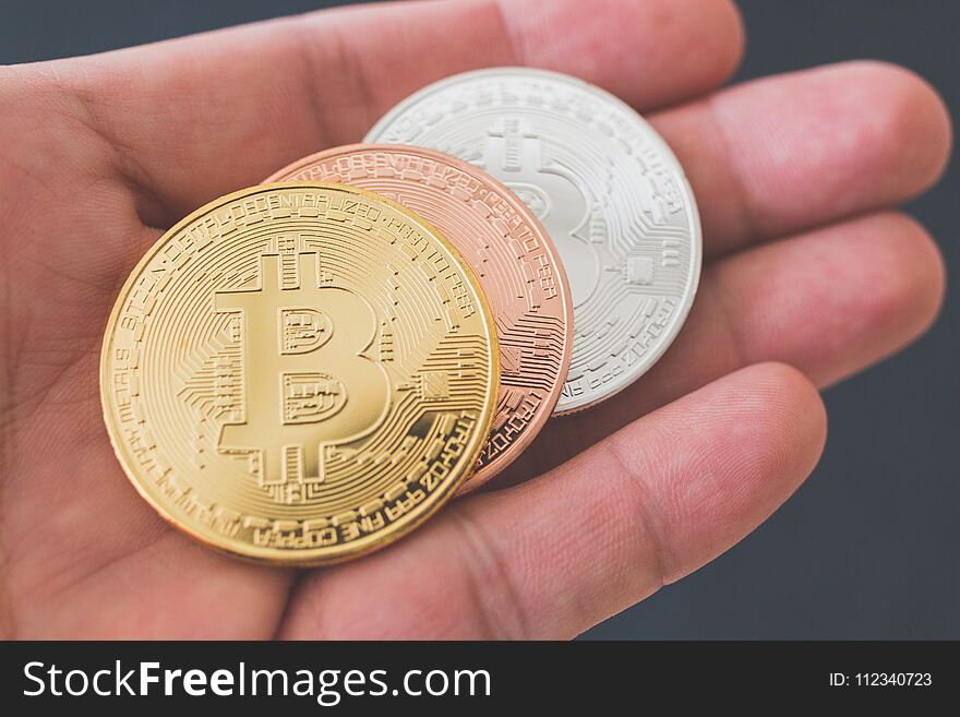 Bitcoin Cryptocurrency Digital Bit Coin BTC Currency