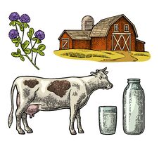 Set Milk Farm. Cow, Clover, Glass And Bottle. Royalty Free Stock Photos