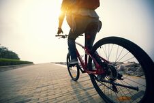 Cyclist Riding Bike In Tropical Park Royalty Free Stock Photography
