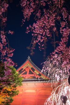 Ueno Sakura Matsuri Cherry Blossom Festival At Ueno ParkUeno Koen,Taito,Tokyo,Japan On April 7,2017:Bronze Statue Of Prince Ko Stock Photography