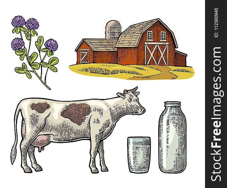 Set Milk farm. Cow, clover, glass and bottle.