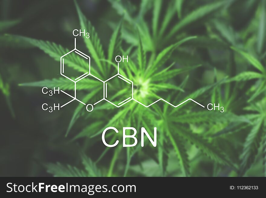 CBN Chemical Formula Flower Of Marijuana Macro At The Beginning Of Flowering Beautiful Background Top View