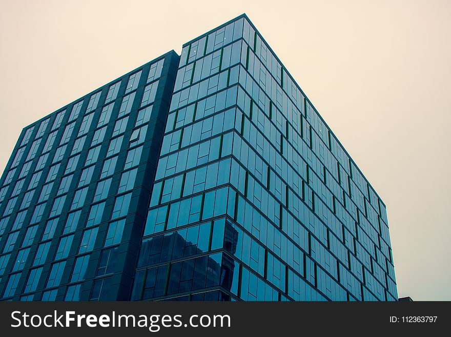 Low Angle Photography of Glass Building