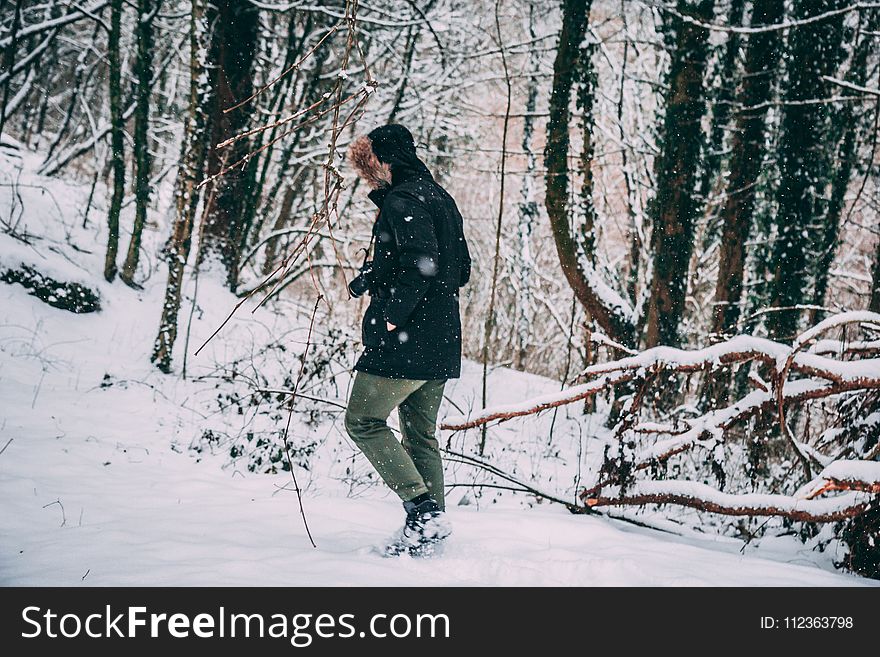 Photo of a Person in the Snowy Forest
