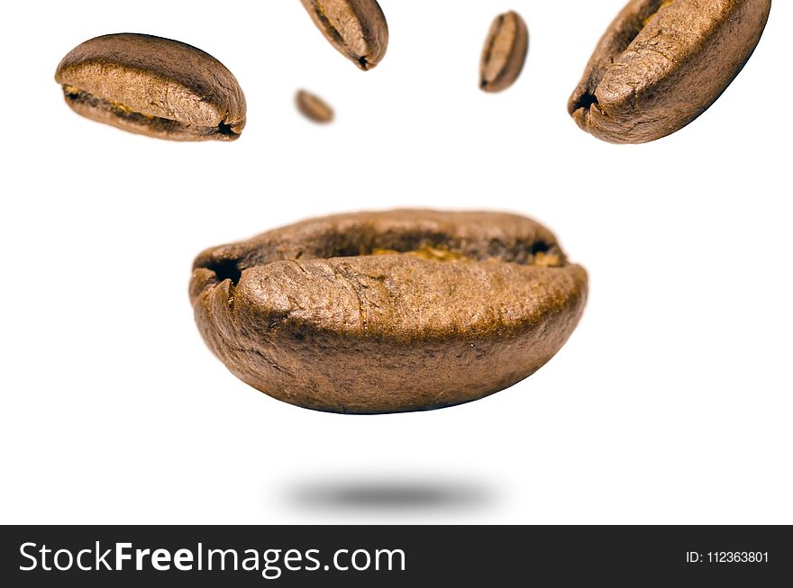 Closeup Photo of Coffee Bean