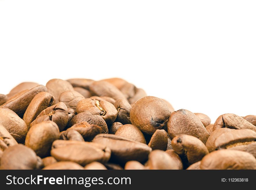 Selective Focus Photography of Coffee Beans