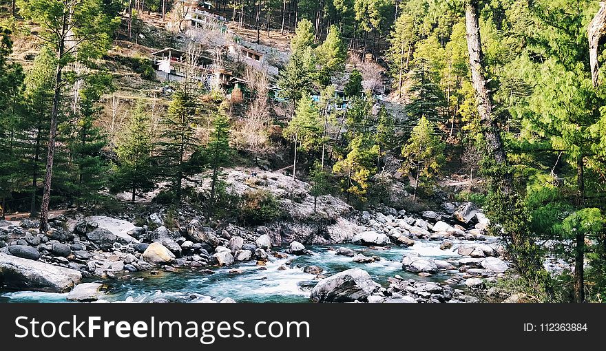 Time Lapse Photography of Body of Water Surrounded by Trees