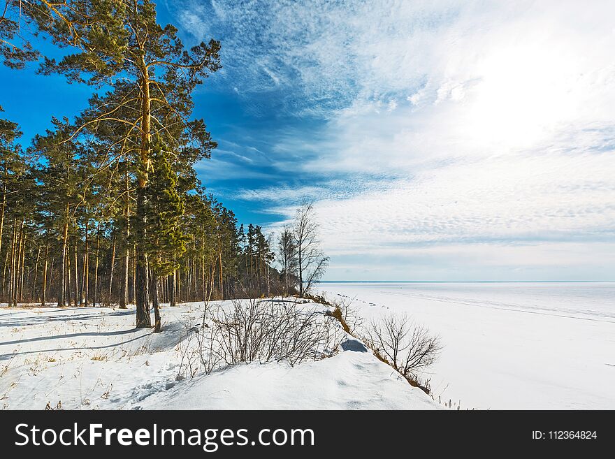 Winter landscape. Siberia, the coast of the Ob river